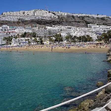Heliomar Palmeras פוארטו ריקו